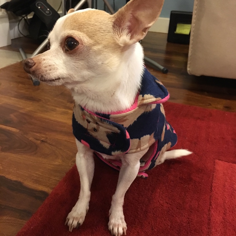Handmade dog jacket ๐ dog sweater - Picture 5 of 7